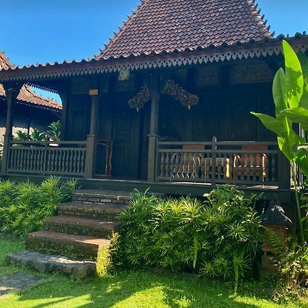Alas Arum Ecolodge Selemadeg Eksteriør billede